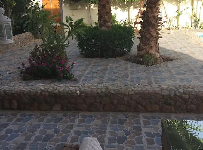 Sunny Vacations Hurghada